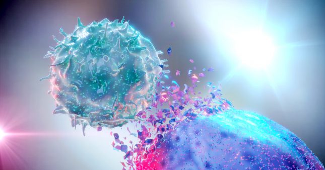 Immunothérapie – Vers un traitement rapide des cancers de l’ovaire et colorectal !