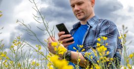 Appli mobiles : Identifier les plantes, fleurs, insectes et animaux en quelques clics !