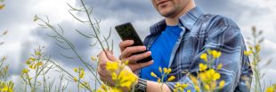 Appli mobiles : Identifier les plantes, fleurs, insectes et animaux en quelques clics !