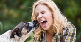 Votre chien vous lèche le visage ? Des chercheurs alertent sur cette pratique dangereuse