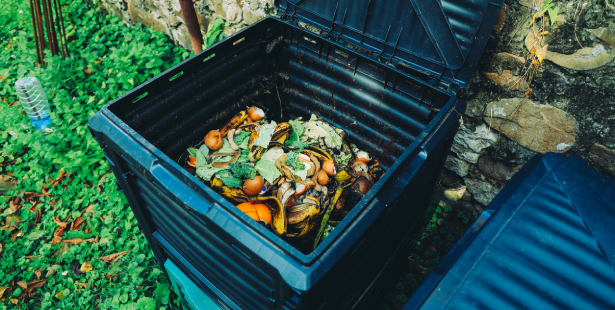 Un bac de compost