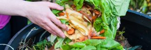 Sondage - Le compost bientôt obligatoire pour tous en France : êtes-vous prêt ?