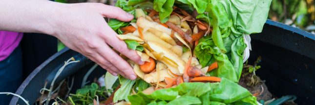 Un bac de compostage