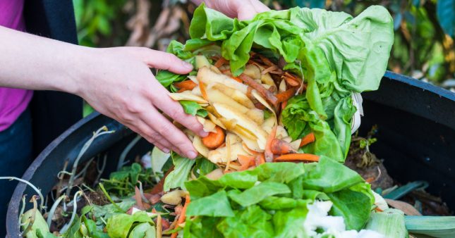 Sondage – Le compost bientôt obligatoire pour tous en France : êtes-vous prêt ?