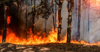 Espagne : des émissions de CO2 folles dues aux incendies