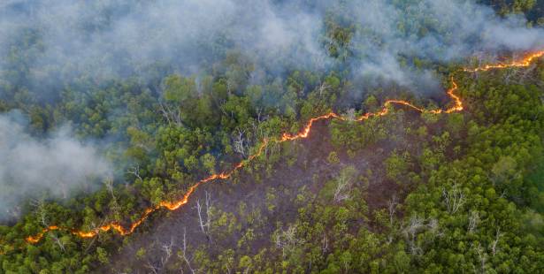 catastrophe naturelle : un incendie de forêt