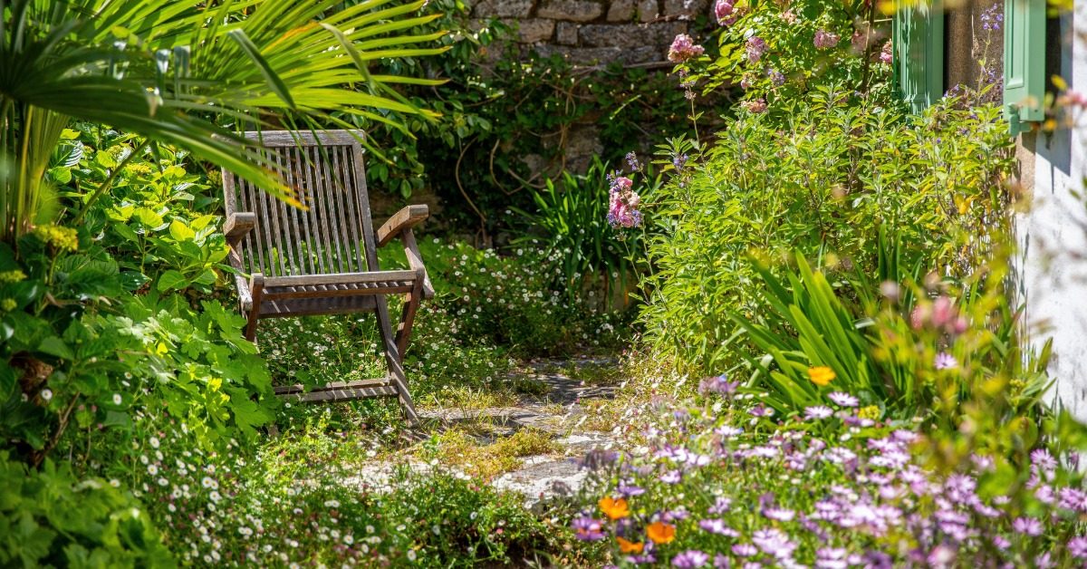 Demain je crée mon jardin sauvage