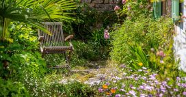 Demain je crée mon jardin sauvage