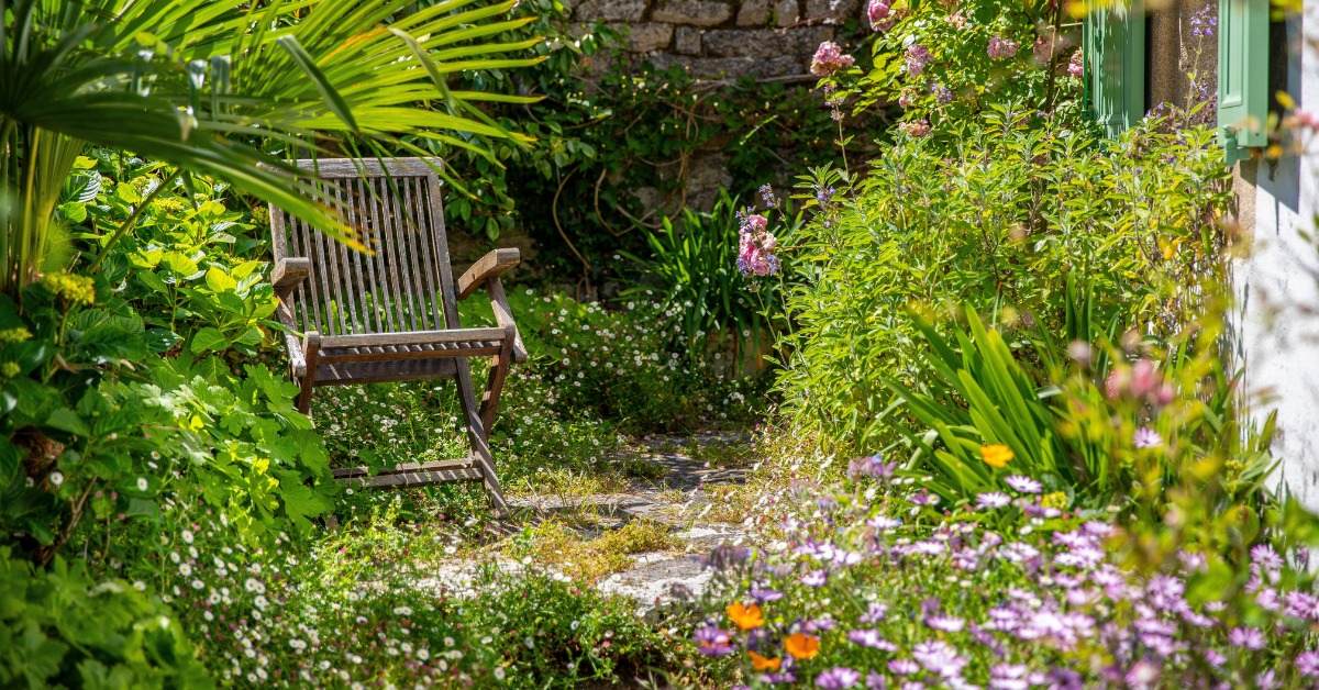 jardin sauvage