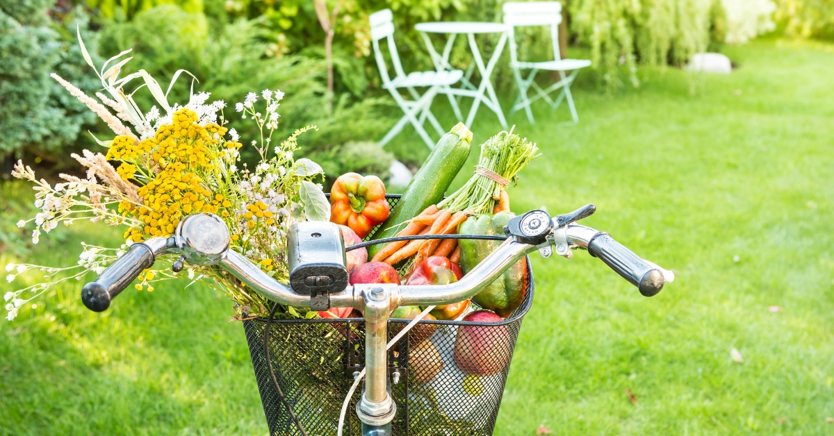 Cuisinez le panier de légumes du mois de mai ! Cuisinez le panier de légumes du mois de mai !