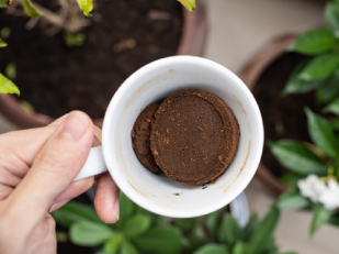 17 ASTUCES AVEC DU MARC DE CAFÉ