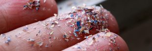 Des microplastiques retrouvés pour la première fois dans les poumons de personnes vivantes