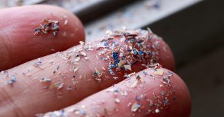 Des microplastiques retrouvés pour la première fois dans les poumons de personnes vivantes Des microplastiques retrouvés pour la première fois dans les poumons de personnes vivantes