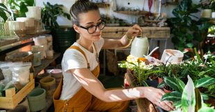 Les soins à apporter à vos plantes d'intérieur en avril