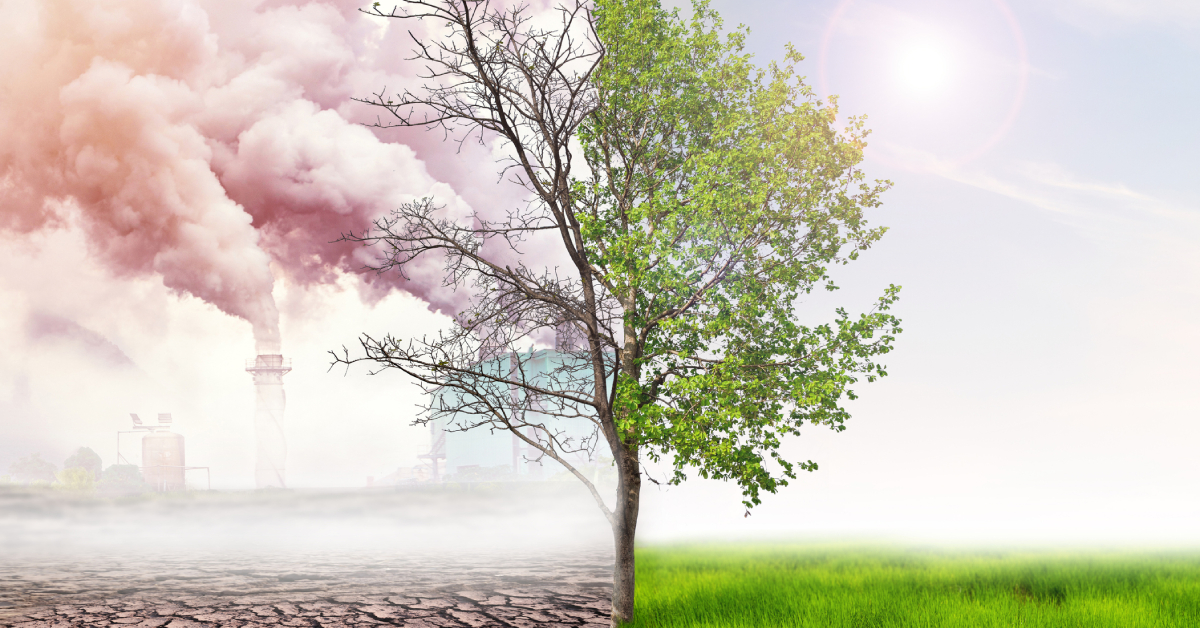 Deux ans pas plus pour sauver le monde selon le chef de l'ONU Climat