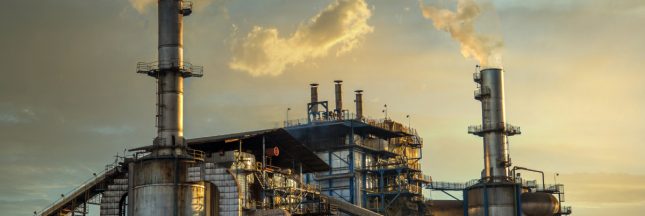 Un projet d'usine à sucre géante près de Rouen