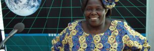 Les grandes figures de la transition écologique : Wangari Maathai