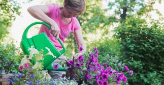 Comment prendre soin de vos plantes pendant les vacances ? Comment prendre soin de vos plantes pendant les vacances ?