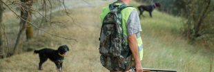 Interdire la chasse sur son terrain est possible ! Voici comment faire