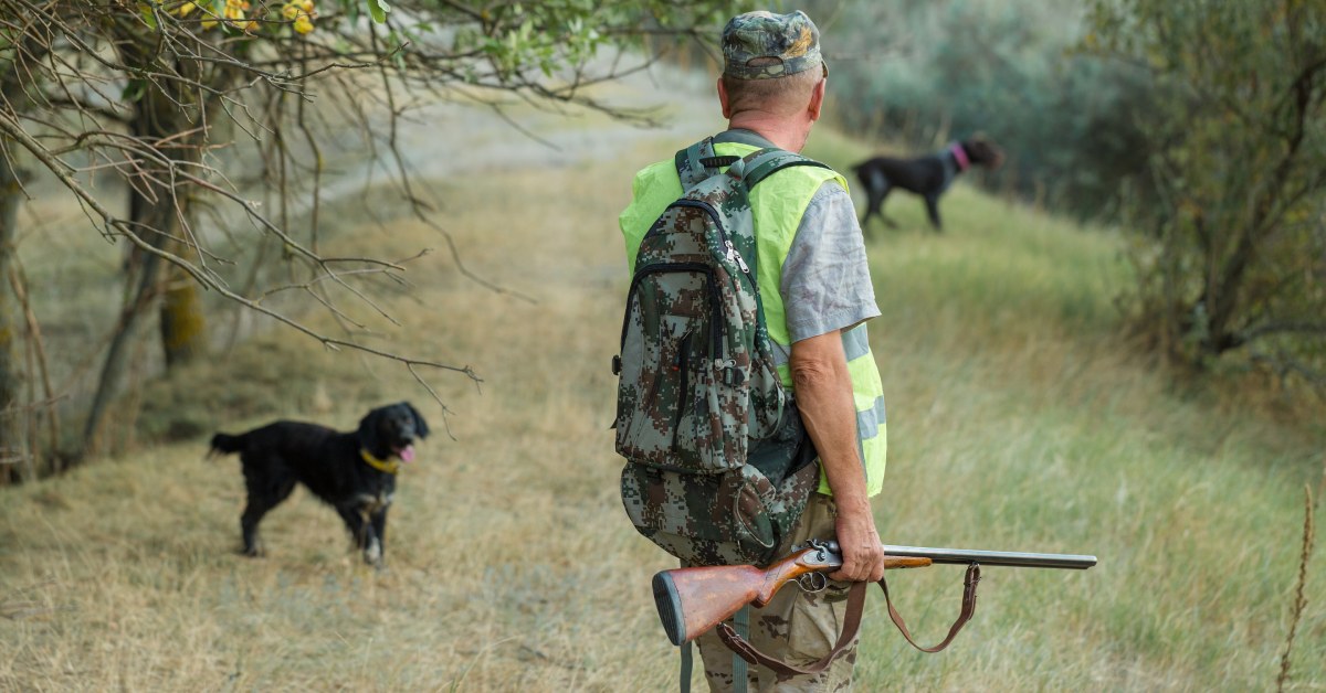 Interdire la chasse sur son terrain est possible ! Voici comment faire