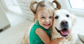 Enfants et hépatites aiguës : les chiens en cause ?