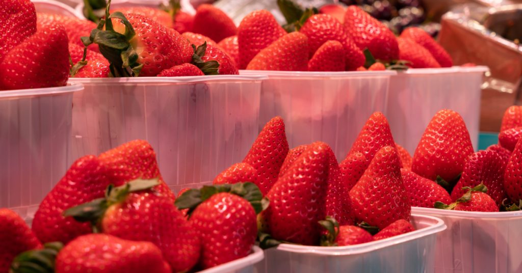 Fraises d’Espagne : les abus continuent, leur boycott se fait attendre