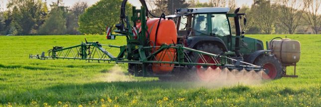 le glyphosate