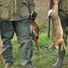 Sondage : interdire la chasse le week-end, pour ou contre ?
