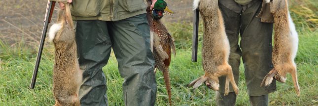 faut-il interdire la chasse le week-end ?