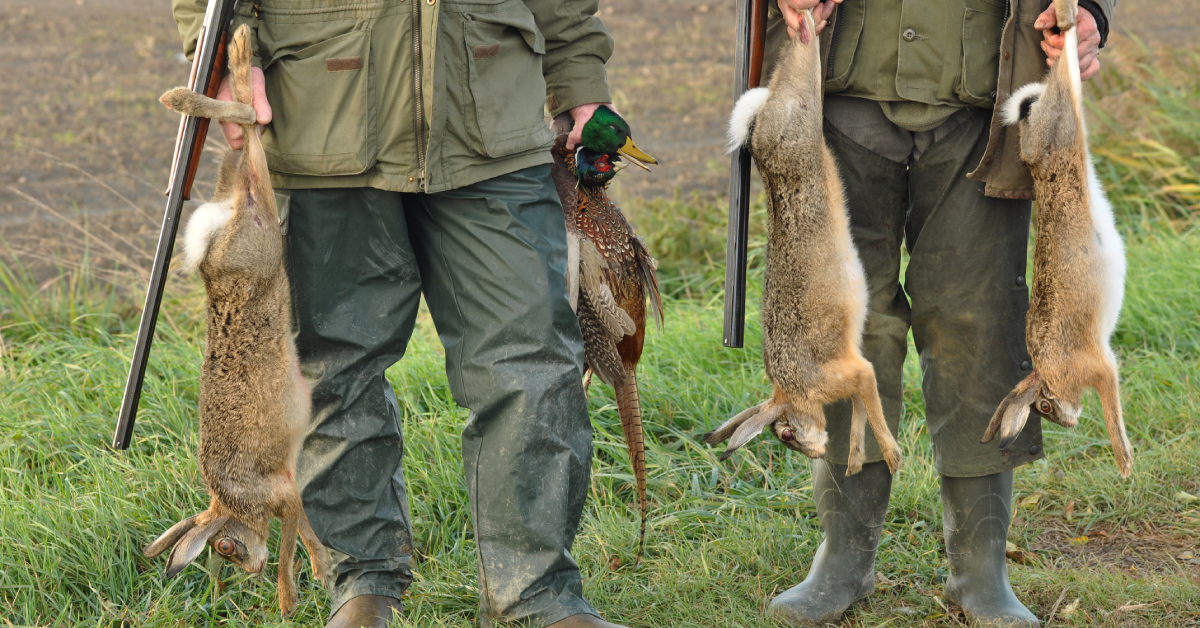 Sondage : interdire la chasse le week-end, pour ou contre ?