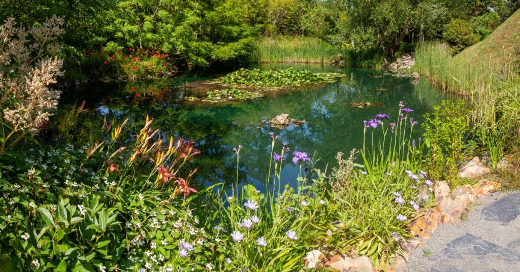 Protéger son jardin pendant 99 ans ? C’est possible avec le contrat ORE