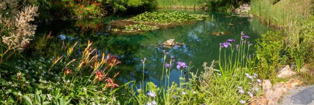 Un jardin protégé par le contrat ORE