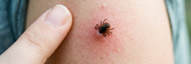 la maladie de lyme