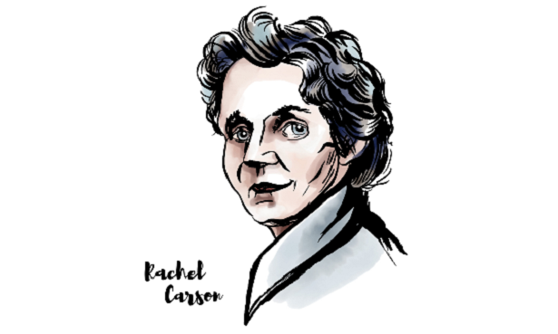 rachel carson