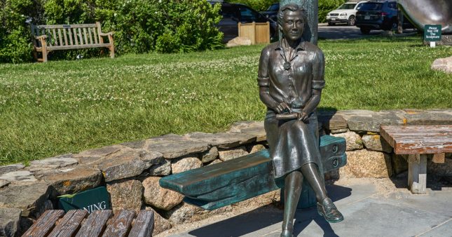 Les grandes figures de la transition écologique : Rachel Carson