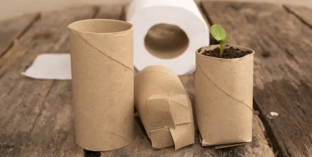 Astuce jardinage : plantez vos semis dans du papier toilette ! Rouleaux-papier-wc-semis.jpg