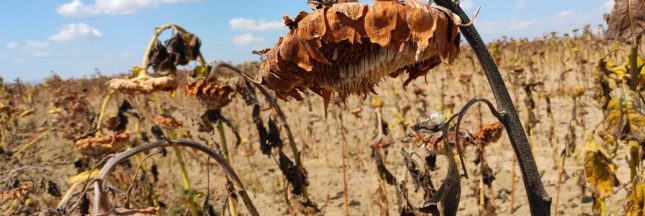 Les départements en France et la sécheresse