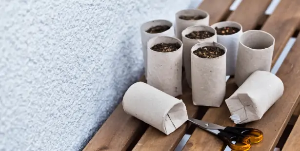 Astuce jardinage : plantez vos semis dans du papier toilette ! Semis-dans-rouleaux-papier-wc.jpg