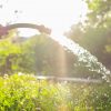 Sécheresse : nos astuces pour consommer moins d'eau au jardin Sécheresse : nos astuces pour consommer moins d'eau au jardin