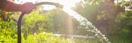 Sécheresse : nos astuces pour consommer moins d'eau au jardin Sécheresse : nos astuces pour consommer moins d'eau au jardin