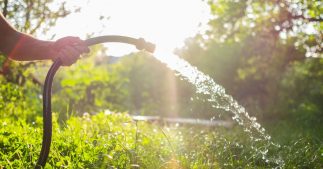 Sécheresse : nos astuces pour consommer moins d'eau au jardin
