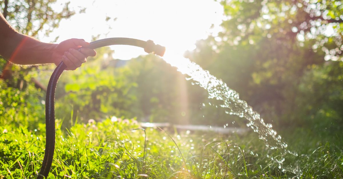 Sécheresse : nos astuces pour consommer moins d’eau au jardin