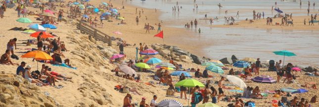 Les drapeaux pour la baignade