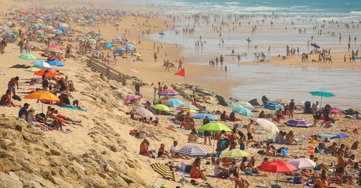 De nouveaux drapeaux sur les plages cet été : quelles significations ? De nouveaux drapeaux sur les plages cet été : quelles significations ?