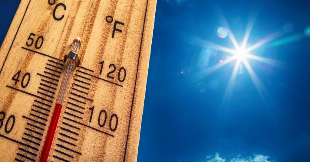 Températures extrêmes : vers une importante canicule la semaine prochaine ?