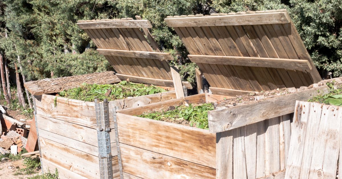 Compost et fortes chaleurs : les bons réflexes