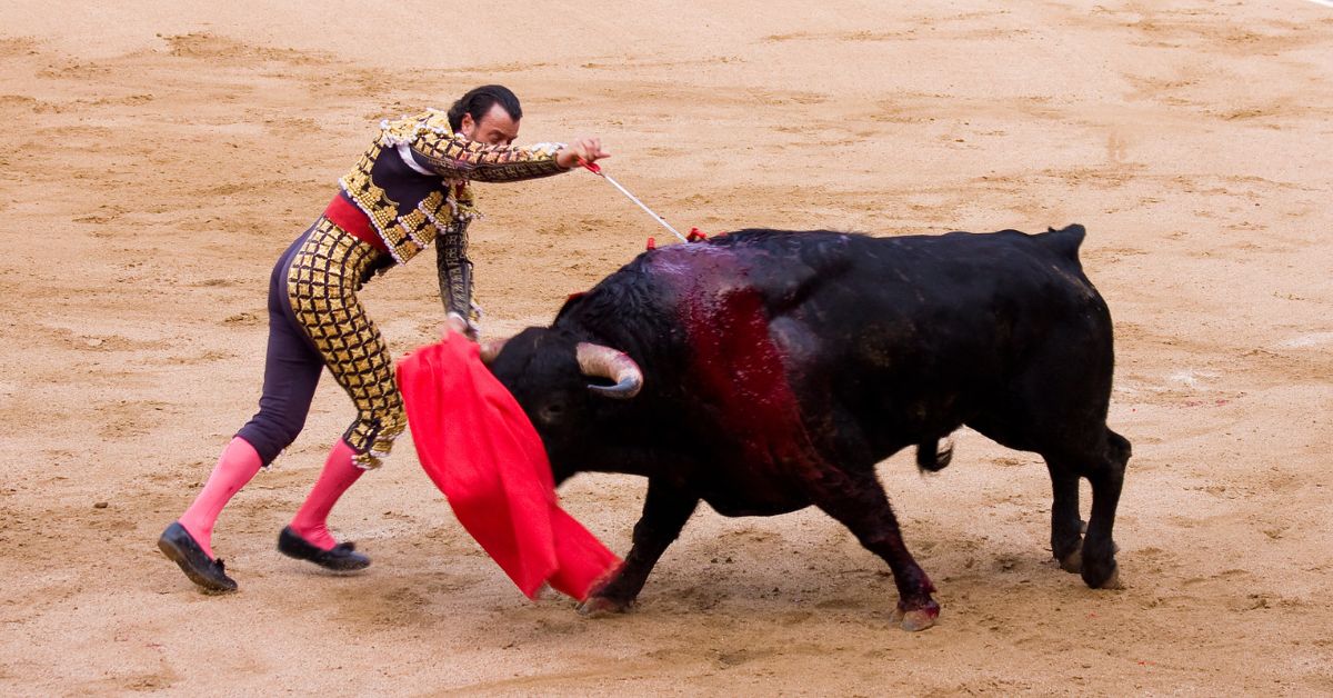 PDF) O que a corrida de touros andamarquina pode nos dizer sobre as  relações entre humanos e animais nos Andes peruanos?