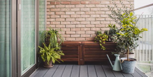 Des plantes sur un balcon