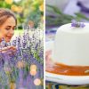 5 fleurs comestibles à planter dans votre jardin 5 fleurs comestibles à planter dans votre jardin