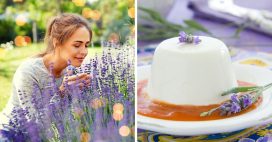 5 fleurs comestibles à planter dans votre jardin 5 fleurs comestibles à planter dans votre jardin